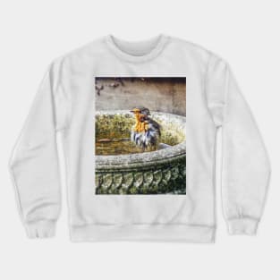 Bath Time for Robin Crewneck Sweatshirt